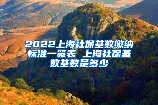 2022上海社保基数缴纳标准一览表 上海社保基数基数是多少