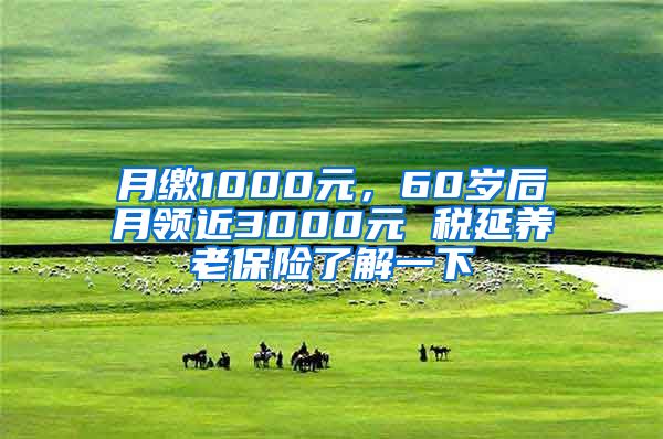 月缴1000元，60岁后月领近3000元 税延养老保险了解一下