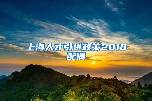 上海人才引进政策2018配偶