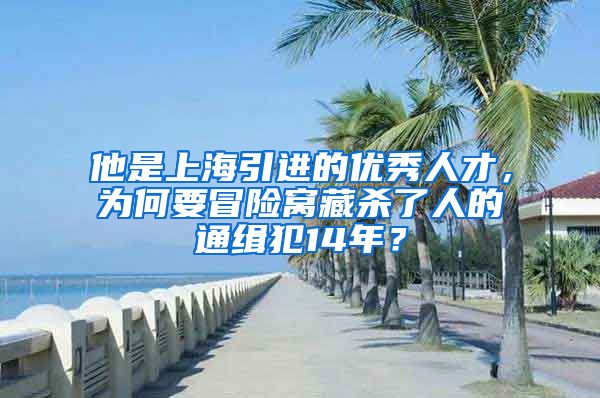 他是上海引进的优秀人才，为何要冒险窝藏杀了人的通缉犯14年？