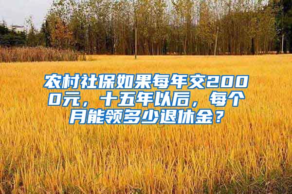 农村社保如果每年交2000元，十五年以后，每个月能领多少退休金？