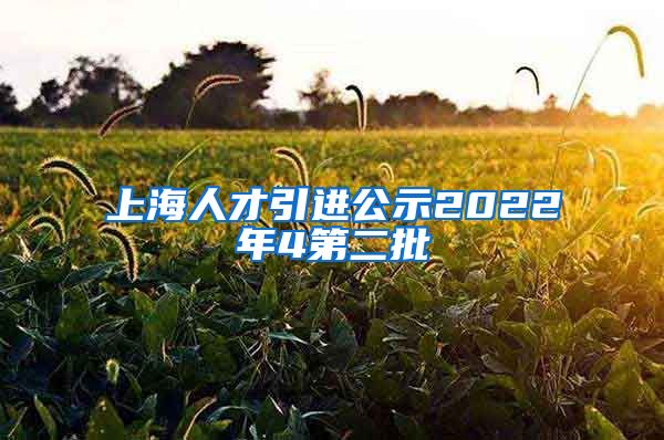 上海人才引进公示2022年4第二批