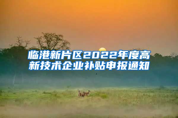 临港新片区2022年度高新技术企业补贴申报通知