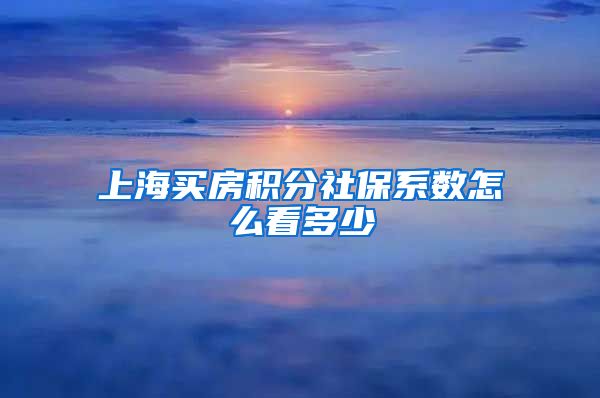 上海买房积分社保系数怎么看多少