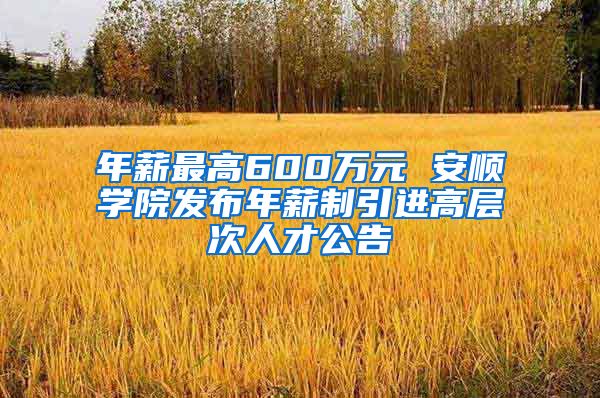 年薪最高600万元 安顺学院发布年薪制引进高层次人才公告