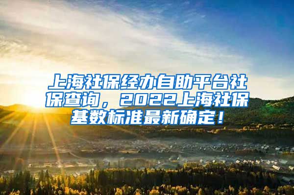 上海社保经办自助平台社保查询，2022上海社保基数标准最新确定！