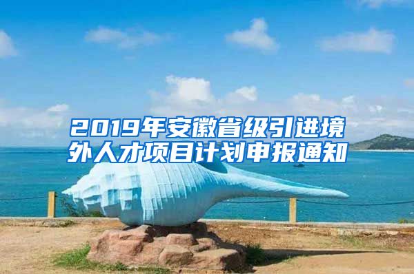 2019年安徽省级引进境外人才项目计划申报通知