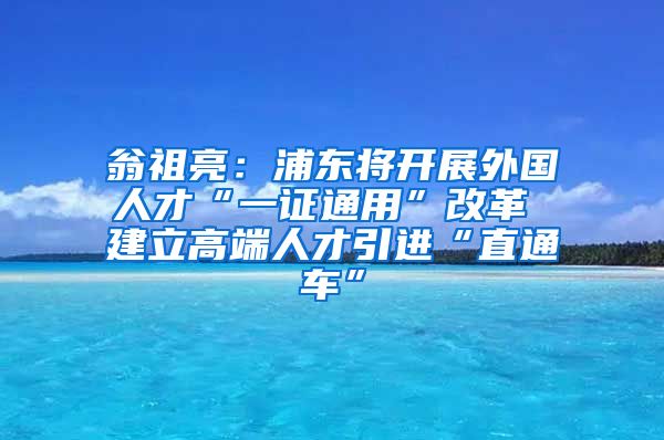 翁祖亮：浦东将开展外国人才“一证通用”改革 建立高端人才引进“直通车”