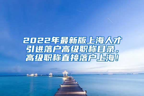 2022年最新版上海人才引进落户高级职称目录，高级职称直接落户上海！