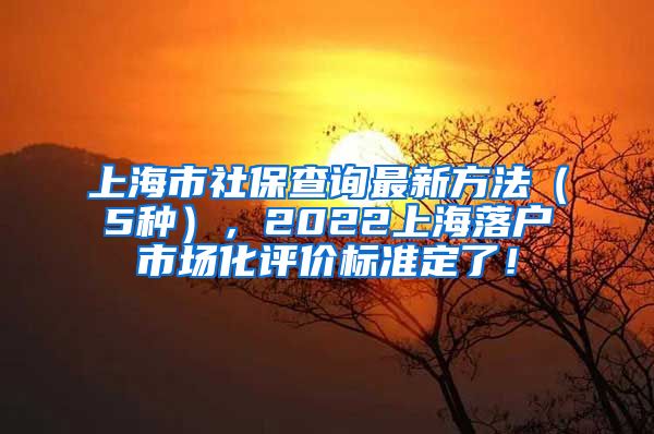 上海市社保查询最新方法（5种），2022上海落户市场化评价标准定了！