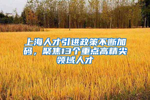 上海人才引进政策不断加码，聚焦13个重点高精尖领域人才