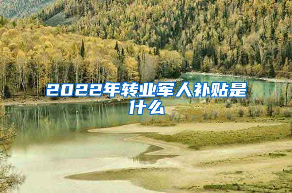 2022年转业军人补贴是什么