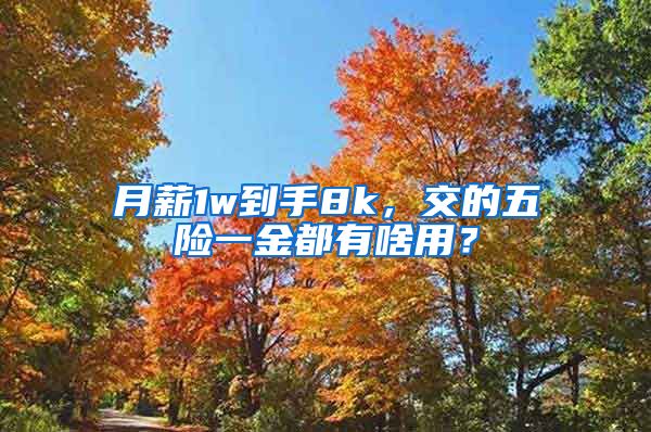 月薪1w到手8k，交的五险一金都有啥用？