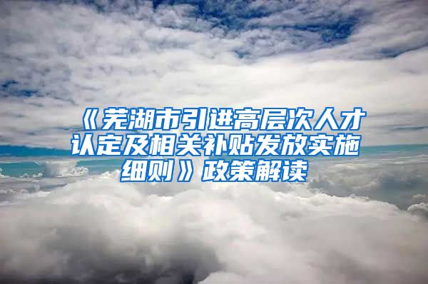 《芜湖市引进高层次人才认定及相关补贴发放实施细则》政策解读