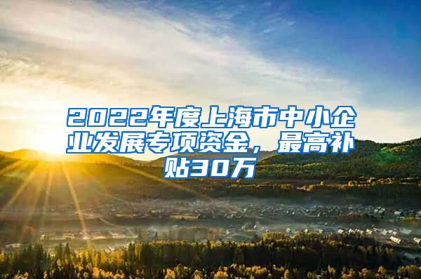 2022年度上海市中小企业发展专项资金，最高补贴30万