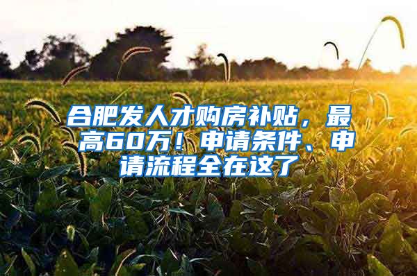 合肥发人才购房补贴，最 高60万！申请条件、申请流程全在这了