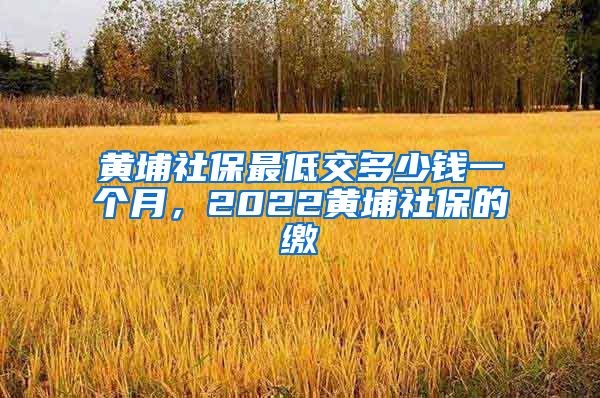 黄埔社保最低交多少钱一个月，2022黄埔社保的缴