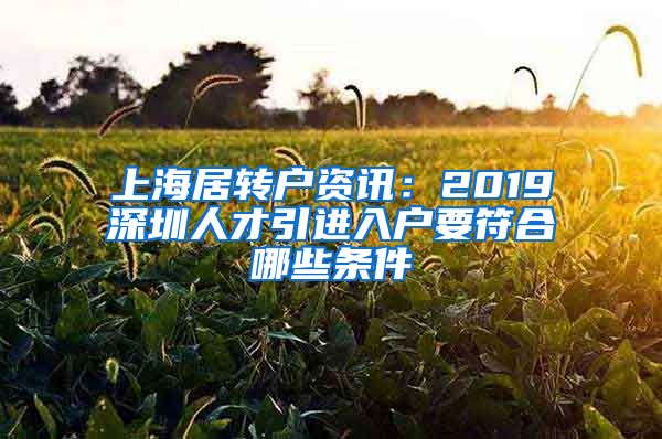 上海居转户资讯：2019深圳人才引进入户要符合哪些条件