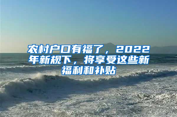 农村户口有福了，2022年新规下，将享受这些新福利和补贴