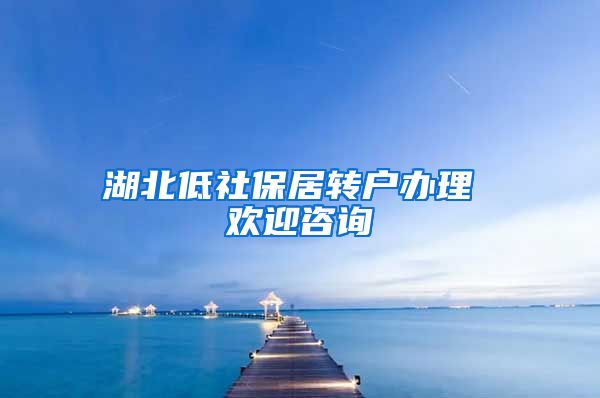 湖北低社保居转户办理 欢迎咨询