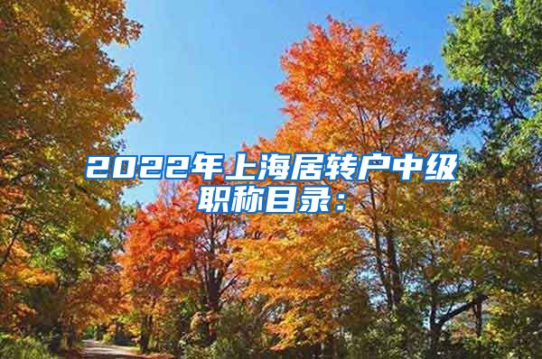 2022年上海居转户中级职称目录：