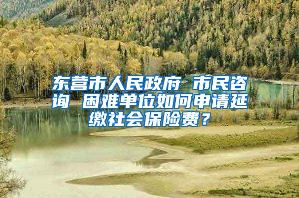 东营市人民政府 市民咨询 困难单位如何申请延缴社会保险费？