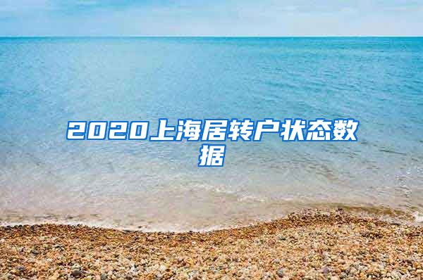 2020上海居转户状态数据