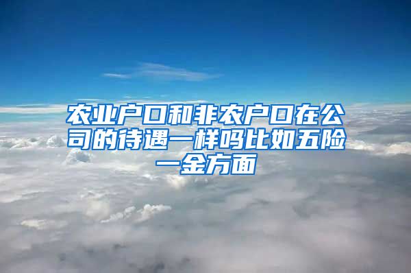 农业户口和非农户口在公司的待遇一样吗比如五险一金方面