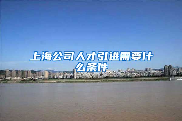 上海公司人才引进需要什么条件