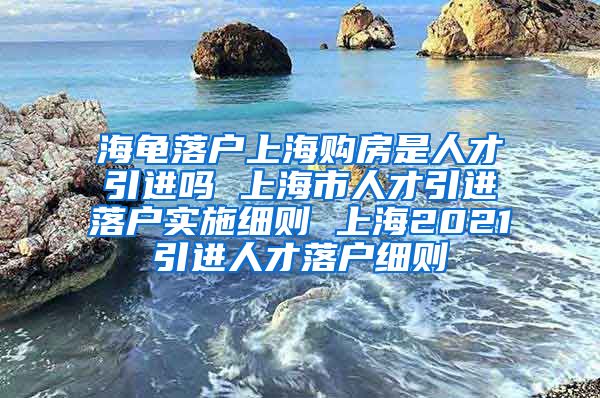 海龟落户上海购房是人才引进吗 上海市人才引进落户实施细则 上海2021引进人才落户细则