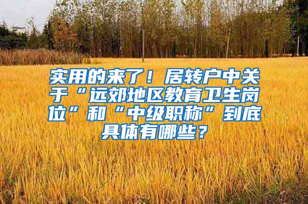 实用的来了！居转户中关于“远郊地区教育卫生岗位”和“中级职称”到底具体有哪些？