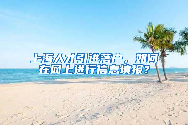 上海人才引进落户，如何在网上进行信息填报？