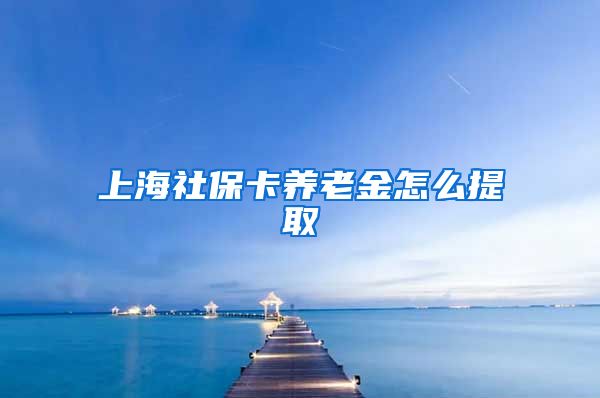 上海社保卡养老金怎么提取