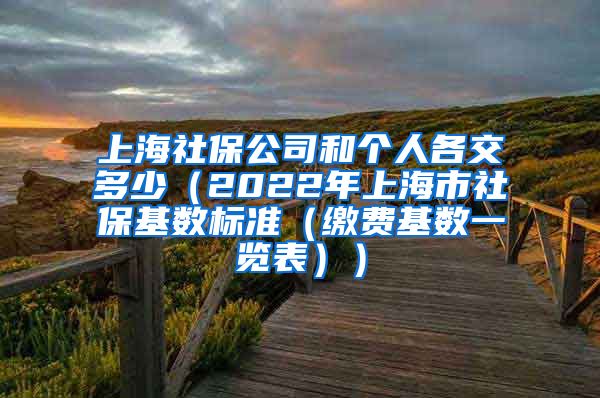 上海社保公司和个人各交多少（2022年上海市社保基数标准（缴费基数一览表））