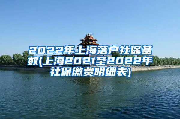 2022年上海落户社保基数(上海2021至2022年社保缴费明细表)