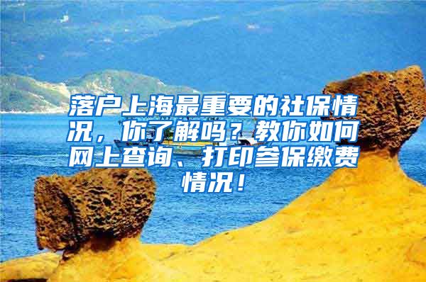 落户上海最重要的社保情况，你了解吗？教你如何网上查询、打印参保缴费情况！