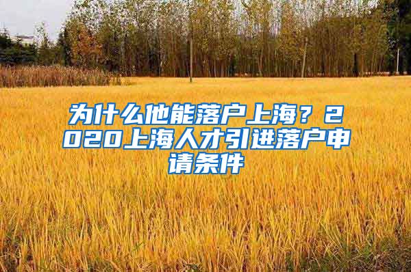 为什么他能落户上海？2020上海人才引进落户申请条件