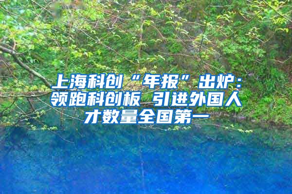 上海科创“年报”出炉：领跑科创板 引进外国人才数量全国第一