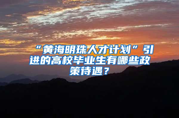 “黄海明珠人才计划”引进的高校毕业生有哪些政策待遇？