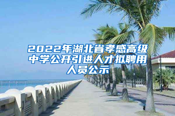 2022年湖北省孝感高级中学公开引进人才拟聘用人员公示