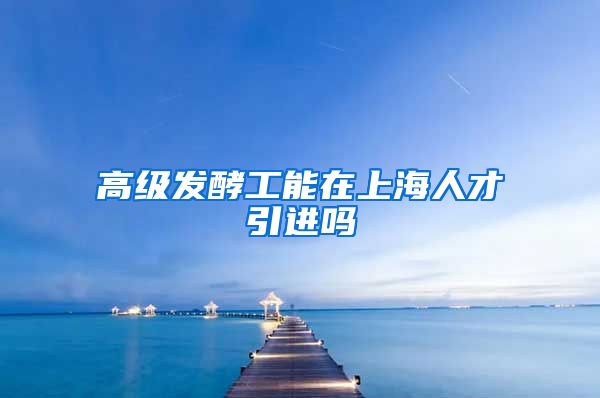 高级发酵工能在上海人才引进吗