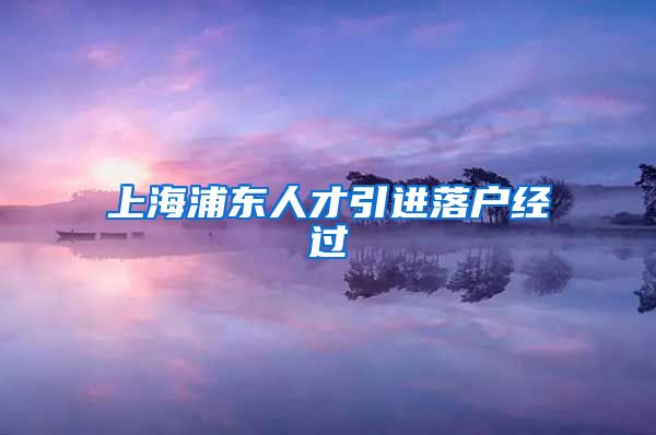 上海浦东人才引进落户经过