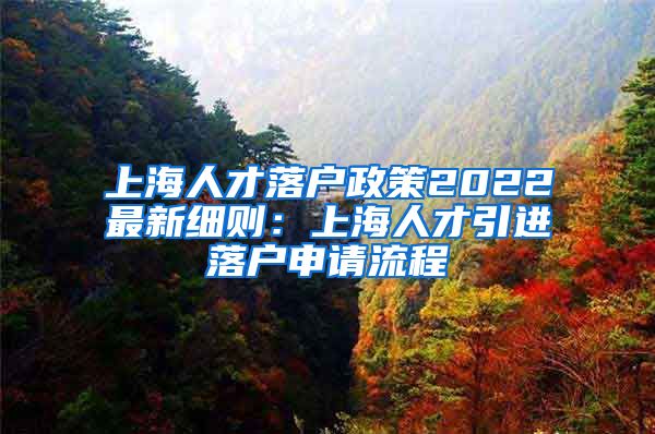 上海人才落户政策2022最新细则：上海人才引进落户申请流程