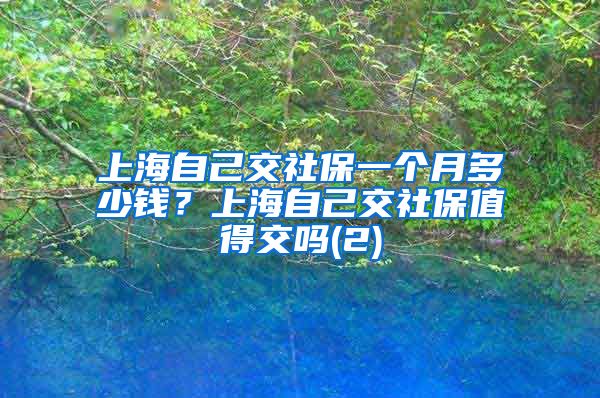 上海自己交社保一个月多少钱？上海自己交社保值得交吗(2)