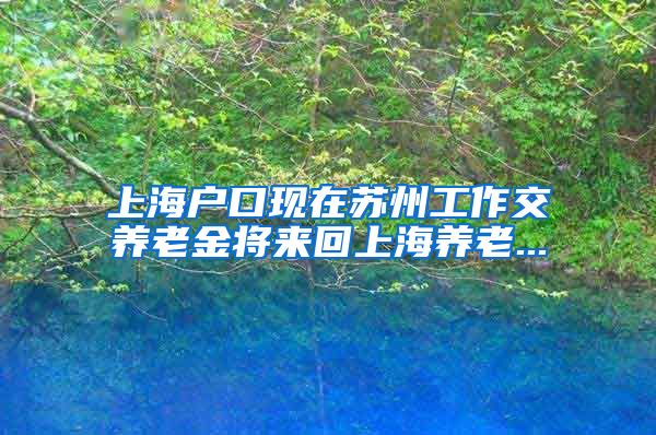 上海户口现在苏州工作交养老金将来回上海养老...