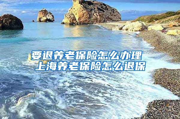 要退养老保险怎么办理 上海养老保险怎么退保