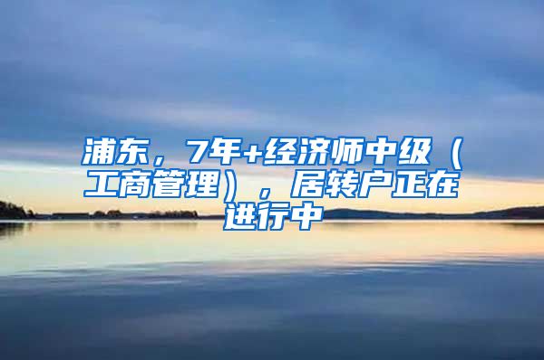 浦东，7年+经济师中级（工商管理），居转户正在进行中