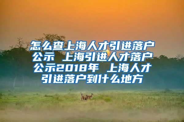 怎么查上海人才引进落户公示 上海引进人才落户公示2018年 上海人才引进落户到什么地方