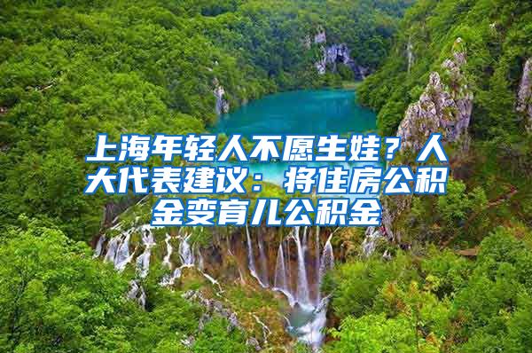 上海年轻人不愿生娃？人大代表建议：将住房公积金变育儿公积金