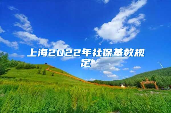 上海2022年社保基数规定